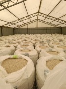 Wapno Kredowe, Magnezowe, Czarna Kreda