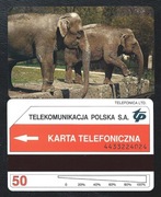 P 9 - SŁONIE  - nie  odwrotka  lakierowana - NOWA, nie  używana