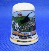 Naparstek Kolekcjonerski Porcelanowy Rajski Park Dinozaury Newhaven 