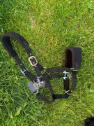 Kantar z Uwiązem COB futerko duża regulacja z dwóch stron