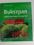 Bukszpan Katharina Adams