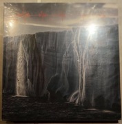 Pearl Jam - Gigaton 2LP