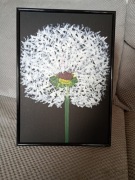 obraz dmuchawiec akrylowy