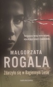 ZDARZYŁO SIĘ W BAGIENNYM LESIE - Rewelacyjny polski thriller. NOWOŚĆ.