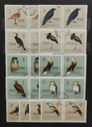 Fi: 1062 - 1073 [ ] kas. parki poziome. Ptaki chronione w Polsce.