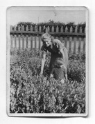 STANDARD – skanowanie 100 zdjęć/dokumentów 300 dpi, bez obróbki