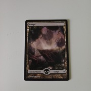 Swamp - Full Art MTG land (niemiecki)