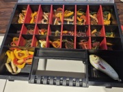 Pudło gum + jerk jaxon 