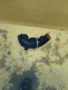 KIA STINGER  RURA DOLOT POWIETRZA 28138J5110 28130J5100 ORGINAŁ