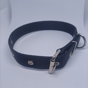 Obroża dla psa 25mm/75 cm różne kolory do wyboru