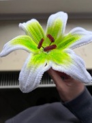 Własnoręcznie robione kwiaty 