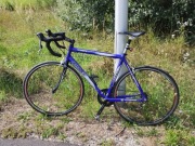 Rower szosowy Ridley Triton S Shimano 105