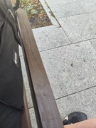 2500 kroków w dwie godziny 