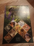 OPIS Wojownicy zestaw 8 artów kalendarz 2025