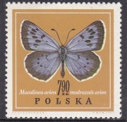 FI 1650-58** 1967 rok. 1658 LUZAK