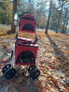 Wózek transporter dla kota psa zwierząt składany podwójny na kółkach kot 