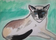 kot, akryl na tekturze