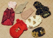 Ubranka dla psa - ubranko - sweterek - kurteczka - kurtka - shihtzu 