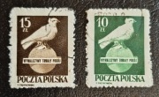 Gołębie Pokoju 1950 r