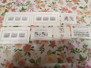 Czarnodruki,nowodruki