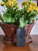 STAN DB + KABEL Iphone 11 64gb