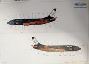 Kalkomania Boeing-737-300 World of Tanks Belawia (Belavia) scala 1/144