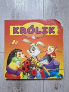 Chcę być duży Królik - Grzegorz Kaspedke