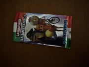 Karty brainrot laminkart 