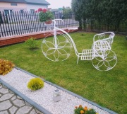 Riksza ozdoba ogrodowa