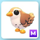 Roblox Adopt Me Mega Neon Wren