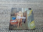 Płyta winylowa Golden Error -Golden Error punk rock 