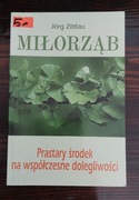 Miłorząb: Prastary środek na współczesne dolegliwości Jörga Zittlaua