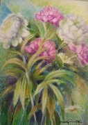 KWIATY PEONIE pastel olejny 47x33 