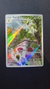 Karta Pokemon TCG Floragato (197/193) Art