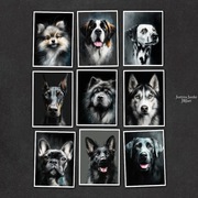 Psie portrety - zestaw 9 grafik w rozmiarze 13x18 cm