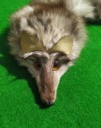 Piękna Duża skóra - kołnierz z lisa srebrny lis naturalny futro 150cm etola