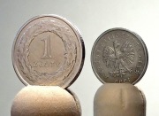 1 ZŁOTY 1995 [nr kat. 121] MONETA >>>>> S K R Ę T K A