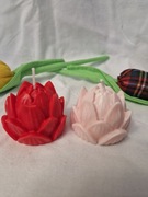 Świeca sojowa lub mydło glicerynowe "lotos"