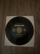 Waldemar Kocoń - Niedokończony lot