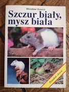 Szczur biały, mysz biała