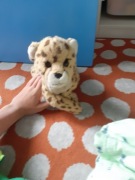 Maskotka gepard, zwierzę.