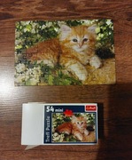 Puzzle trefl mini 54 elementy