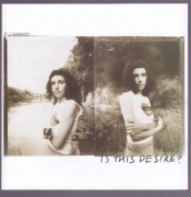 PJ Harvey - Is this Desire ?