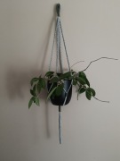 Kwietnik wiszący szaro-zielony bawełniany – elegancki do każdego wnętrza