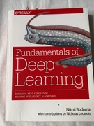 Fundamentals of deep learning N. Buduma