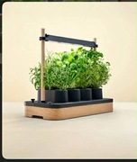 Samowystarczalna Doniczka Auk