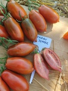 CUBAN PEPPER nasiona Pomidor Kolekcjonerski