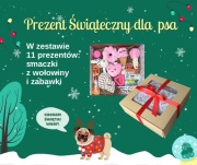 Świąteczny prezent dla Psa
