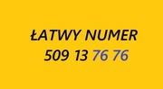 Złoty srebrny łatwy numer 509 13 76 76 BCM starter prosty karta prepaid SIM