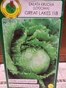 Sałata krucha/lodowa